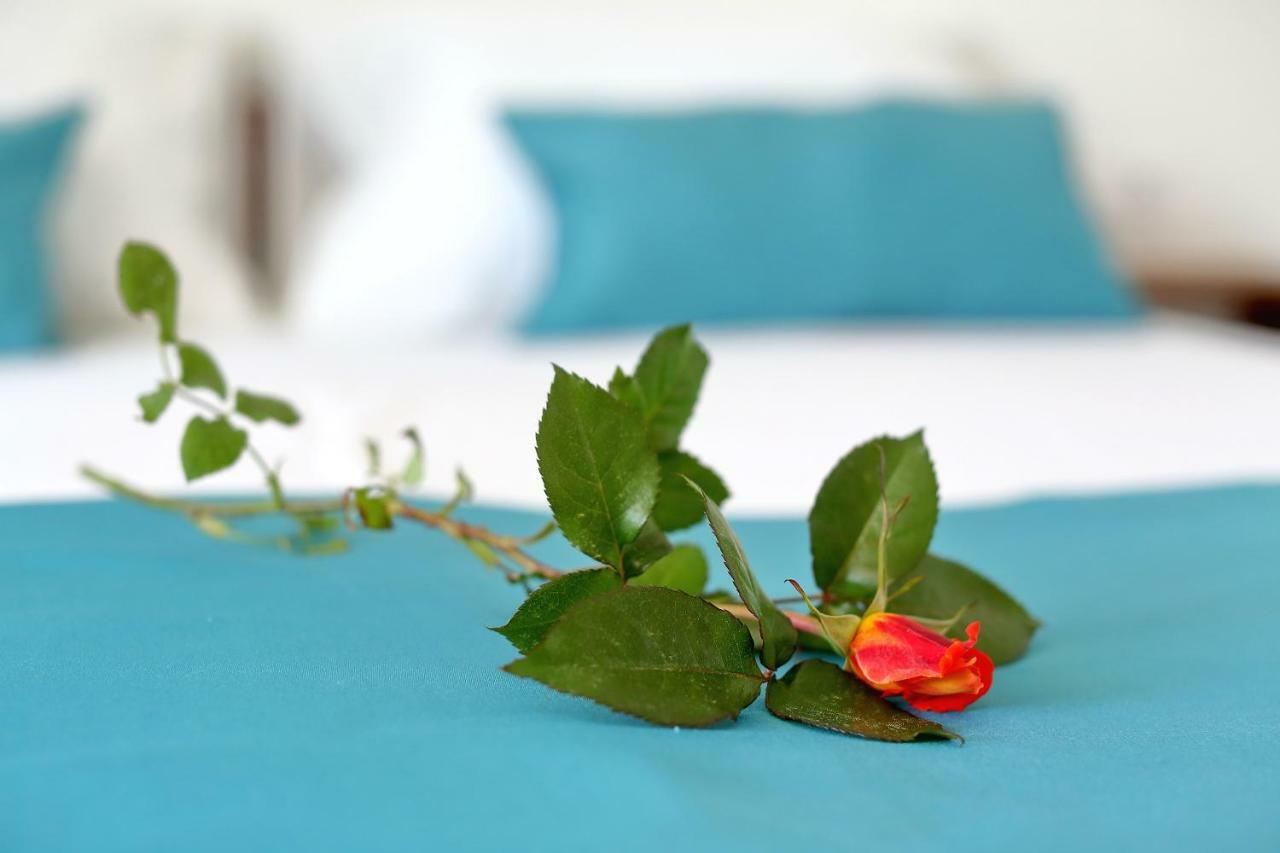 Apartments Brankica Ζαντάρ Εξωτερικό φωτογραφία